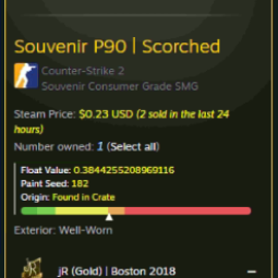 Souvenir P90 | Scorched (Well-Worn) Float Value: 0.3844255208969116
Paint Seed: 182 0